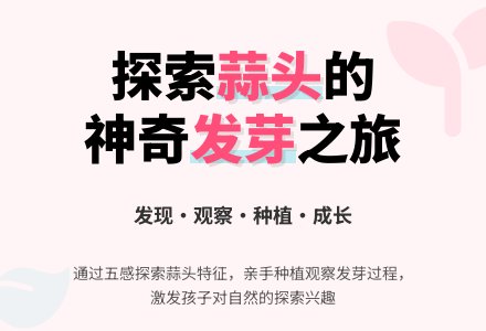 中班科学教案：蒜头发芽了-幼师课件网