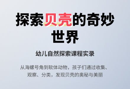 中班科学教案：贝类-幼师课件网