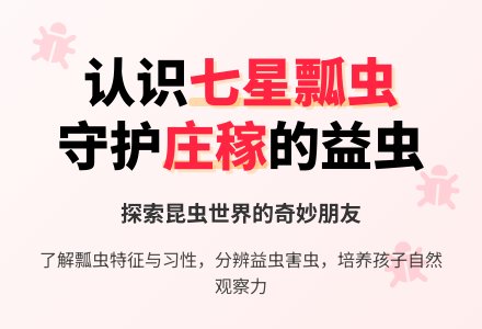 幼儿园中班科学教案:有益的七星瓢虫-幼师课件网