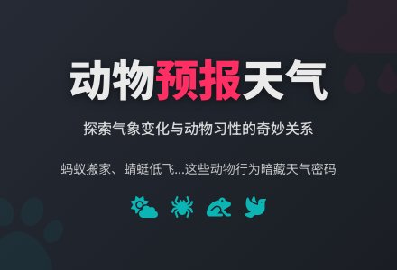 大班科学教案:动物和天气-幼师课件网