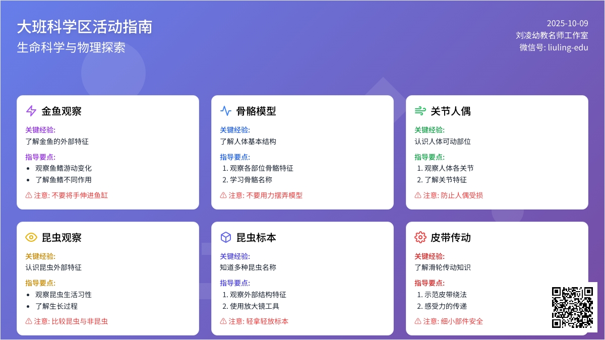区域材料 | 大班科学区材料投放