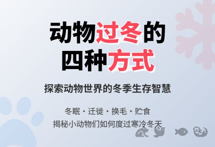 幼儿园大班综合活动：动物怎样过冬-幼师课件网