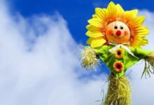 【经验分享】幼师语言魅力的修炼-幼师课件网