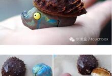 玩转秋天的果实艺术-幼师课件网
