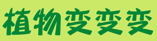 自然角 | 布置新花盆、新名字、新植物，让自然角焕然一新吧~-幼师课件网第24张图片