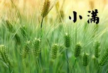 小满节气 | 小满节气到，谨防孩子湿气重！-幼师课件网