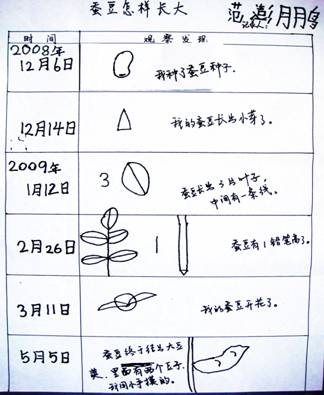 自然角的观察记录合集-幼师课件网第12张图片