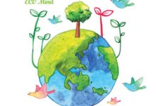 幼儿园区角游戏活动的设计与指导－科学区-幼师课件网