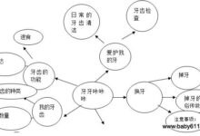 幼儿园大班主题活动教案：牙齿咔咔咔-幼师课件网