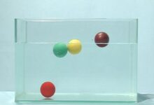 ［视频］中班科学《浮上来、沉下去》-幼师课件网
