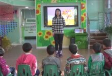 公开课视频 | 中班科学活动《捉迷藏》-幼师课件网