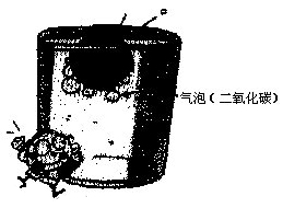 物理实验――溜溜转的潜水艇-幼师课件网第3张图片