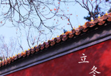 立冬 | 你不知道的立冬，也许比圣诞节还要美，还要暖-幼师课件网