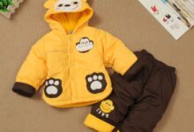 中班科学教案《冬日服装秀》-幼师课件网