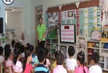 获奖公开课视频 | 中班科学领域数学活动《羊羊电影院》-幼师课件网