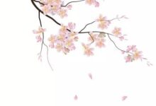 二十四节气 第二节 | 雨水，最是一年春好处-幼师课件网