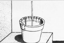 做个简易日晷(自然)-幼师课件网