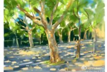 中班科学教案：高大的梧桐树-幼师课件网