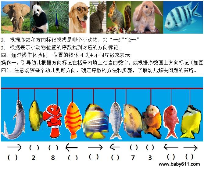 幼儿园大班数学活动：向左看向右看-幼师课件网第3张图片