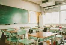 【2016保教知识与能力2】幼师资格模拟考试及答案解析-幼师课件网