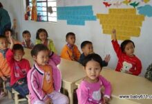 幼儿园大班科学教案：仿生现象-幼师课件网