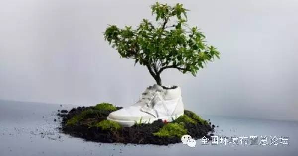 原来盆栽可以这样种植的！-幼师课件网第4张图片