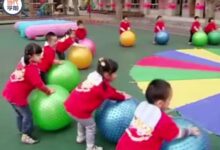 获奖公开课视频 | 小班健康领域体育活动《出海摘果子》-幼师课件网