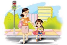 中大班社会领域安全活动 | 安全标志我认识-幼师课件网