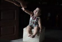 “延迟满足”这件事，骗了大家多少年？-幼师课件网