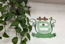 芭学园 | 6个富有创意的家园共育活动-幼师课件网