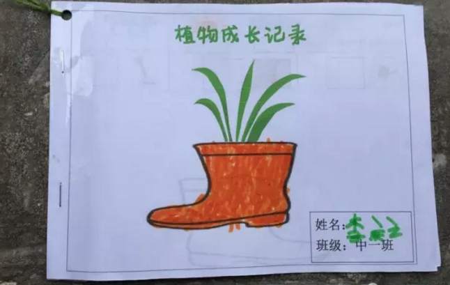 自然角 | 春天来了，植物角该收拾啦！-幼师课件网第36张图片