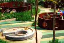 幼儿园景观设计之植被的选择-幼师课件网