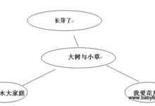 幼儿园中班春天主题活动：大树与小草-幼师课件网