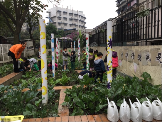 自然角花盆 | 创意自然角，废旧物变身-幼师课件网第20张图片