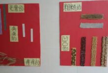 幼儿园环境创设评比作品—农家乐-幼师课件网
