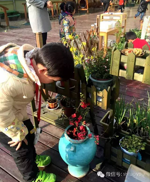 自然角 | 暖暖的春风迎面吹，花儿朵朵开~-幼师课件网第31张图片