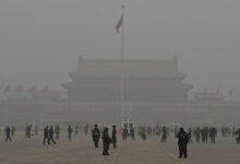 中班科学教案：雾蒙蒙-幼师课件网