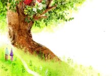 【拜访大树】大班主题活动案例——树朋友-幼师课件网