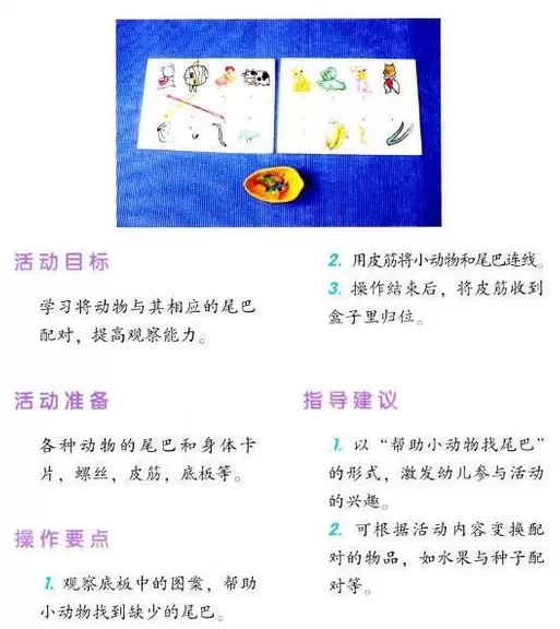 幼儿园区角操作——科学区（1）-幼师课件网第5张图片