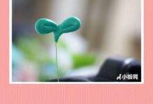 你“头上长草