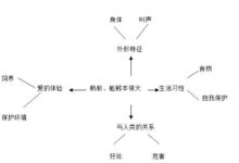 幼儿园大班生成主题活动《蚂蚁、蚯蚓本领大》-幼师课件网
