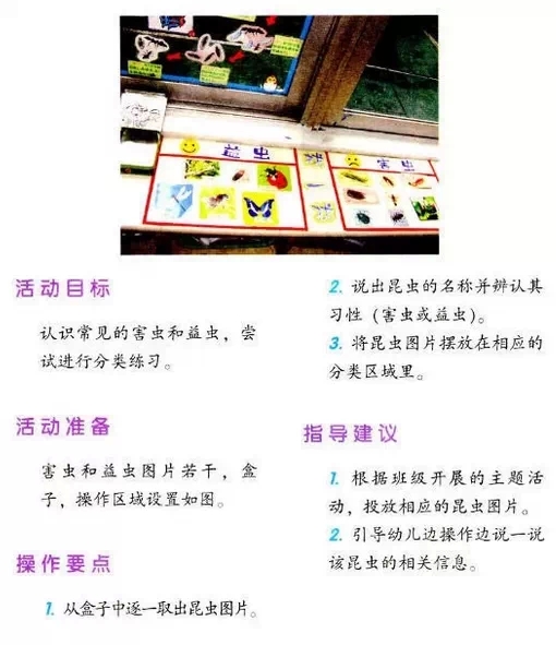 幼儿园区角操作——科学区（2）-幼师课件网第4张图片