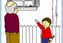 关于诚实的合作性游戏-幼师课件网