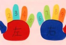 大班科学领域数学活动 | 认识左右-幼师课件网