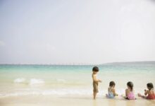 优秀教案 | 中班艺术领域美术活动《漂亮的拖鞋》-幼师课件网