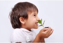 幼师必读 | 华爱华教授：游戏是幼儿的“心理维生素