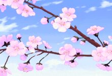 立春 | 寒随一夜去，春逐五更来，孩子穿衣有讲究！-幼师课件网