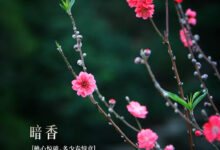 【暗香袭来】闻得到香味的自然物环创-幼师课件网