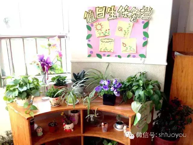 自然角 | 暖暖的春风迎面吹，花儿朵朵开~-幼师课件网第51张图片