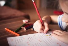 教育视角 | 幼儿园真的需要那么多“特色”吗?-幼师课件网